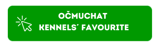 Očmuchat Kennels Favourite